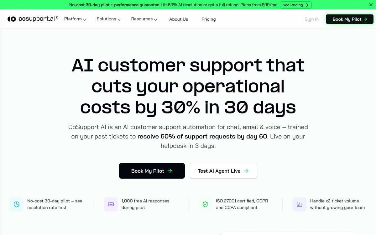 Captura de pantalla de CoSupport AI