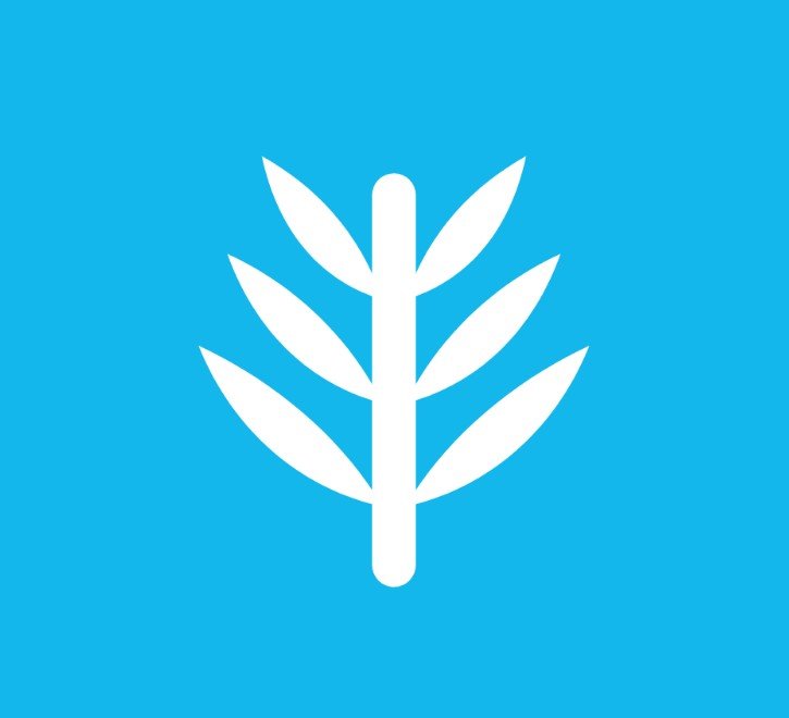 Palmio