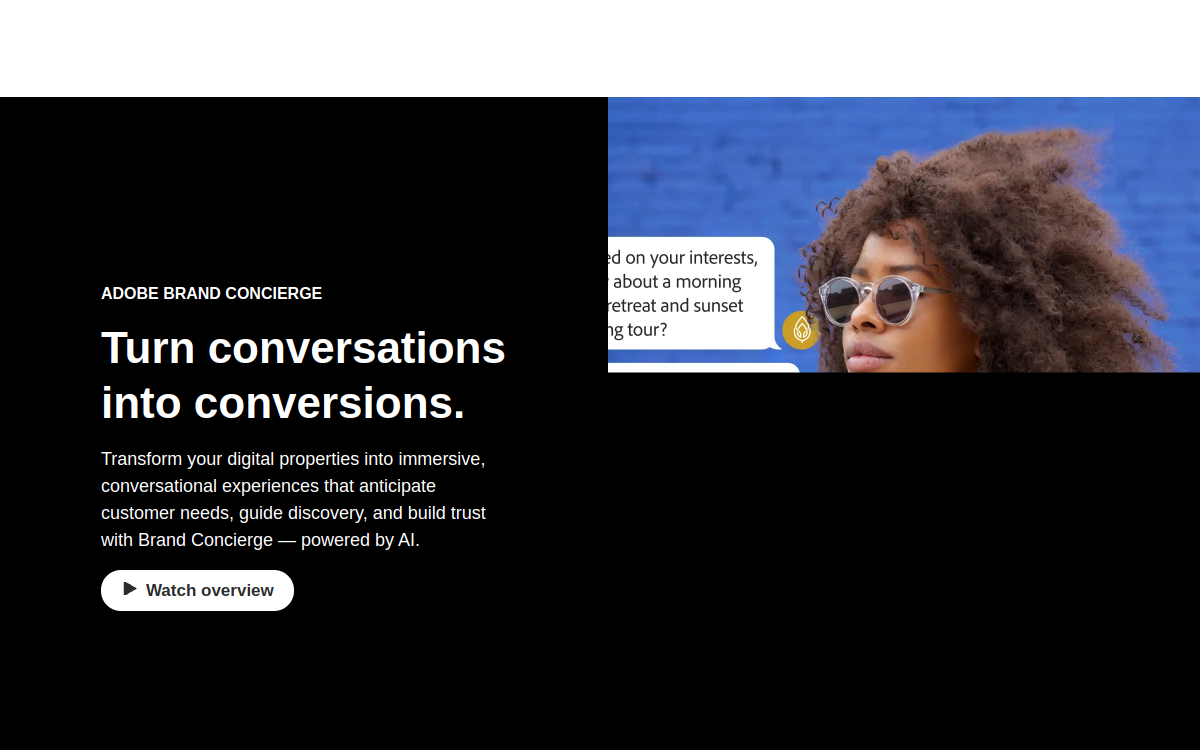 Captura de pantalla de Adobe Brand Concierge